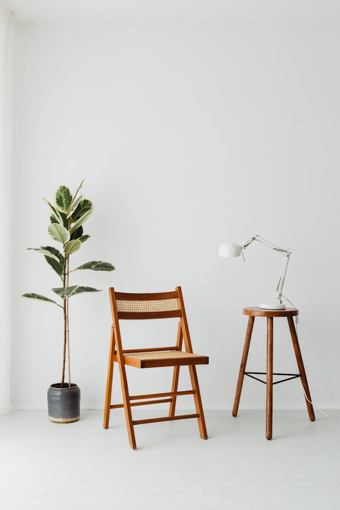 Elegant minimalist interior featuring wooden furniture and a potted plant against white walls.